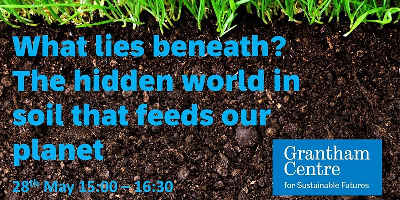 Soil event 28 May 2021 - The hidden world in soil that feeds our planet