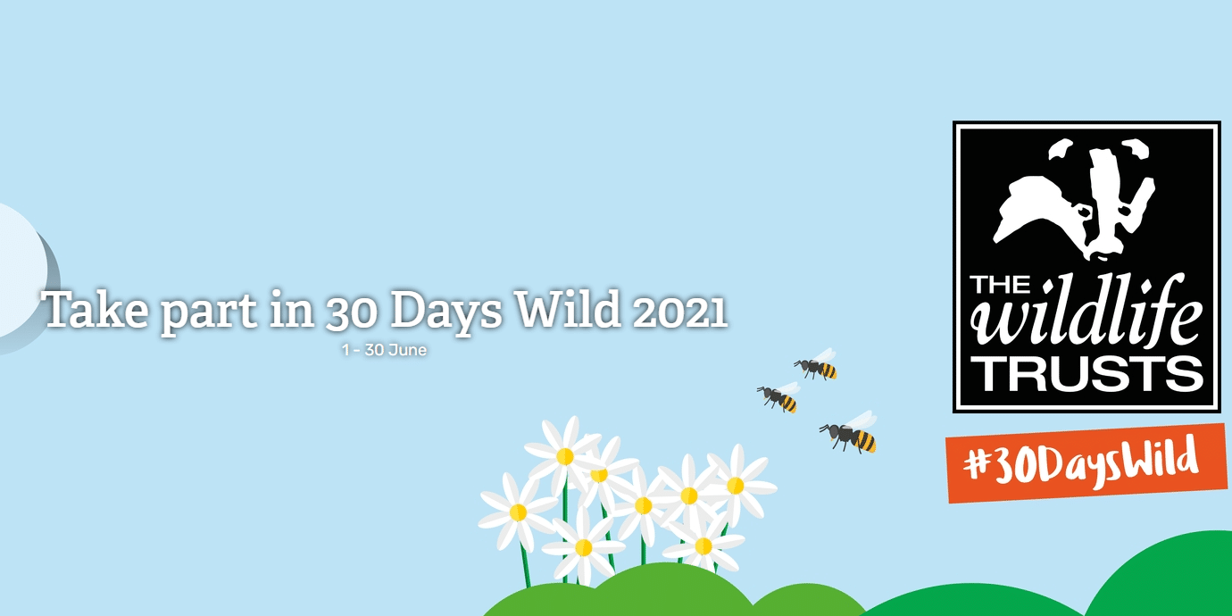 30-Days-Wild