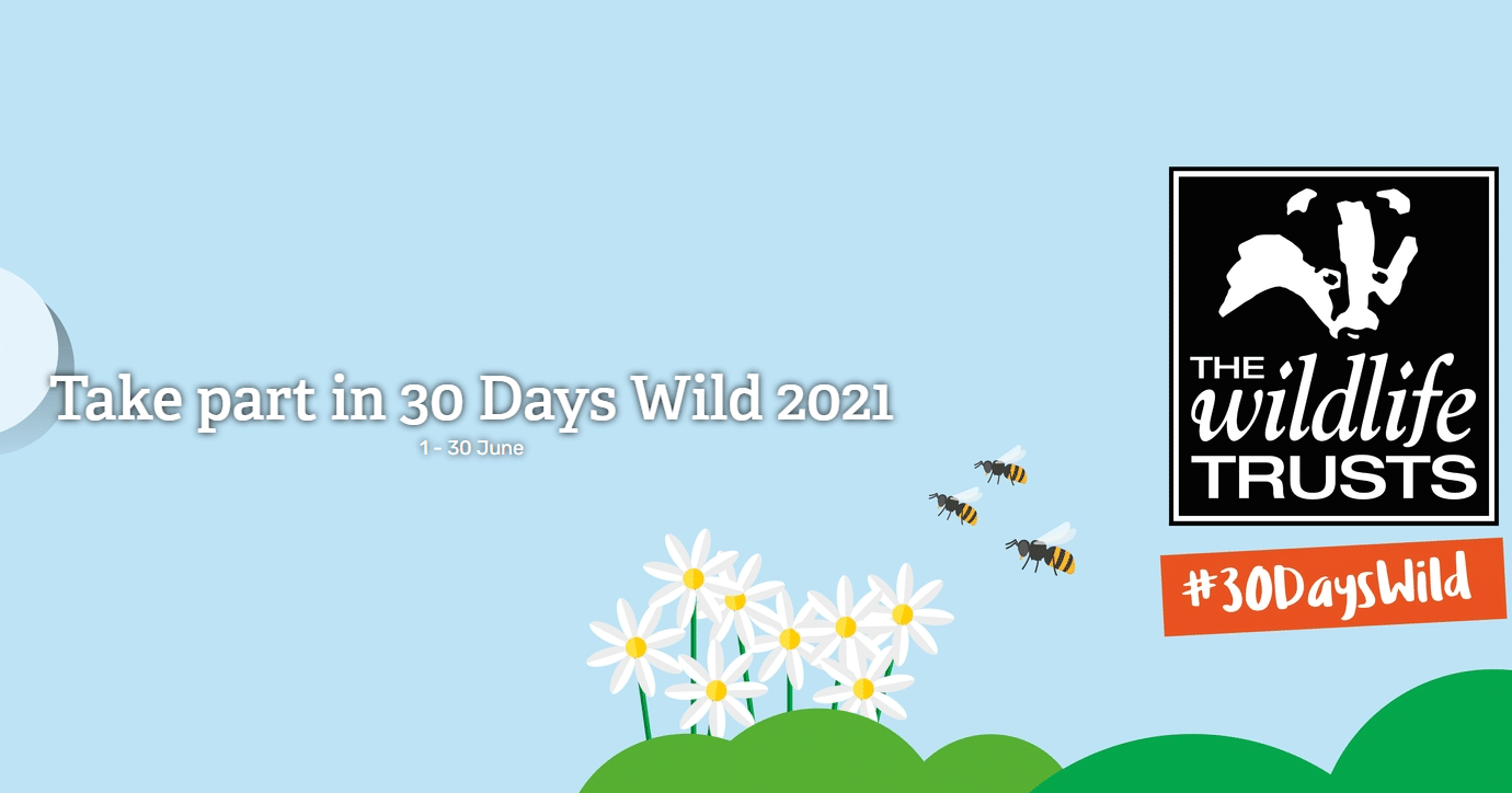 30-Days-Wild