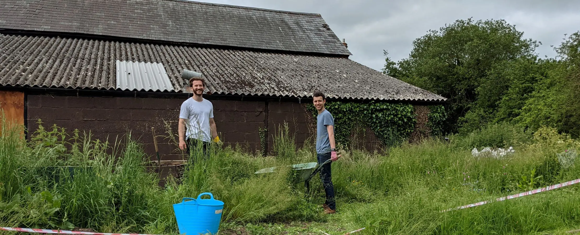 Volunteers team work