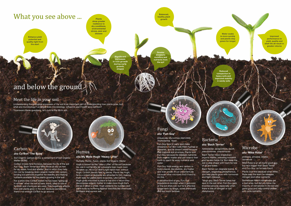 Life in the soil