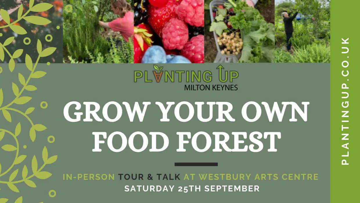 Grow Your Own Food Forest