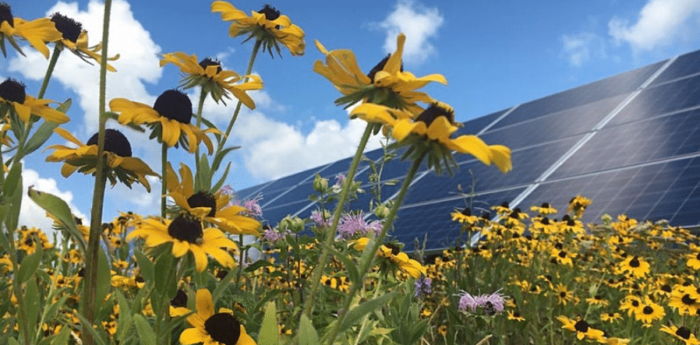 BCCF COP26 Review event Thoughts following from COP26