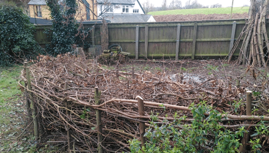 Dead hedge at Stoke by Nayland