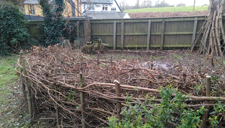 Dead hedge at Stoke by Nayland