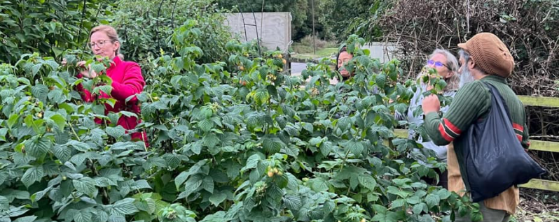 Rakesh eating raspberries in our forest garden