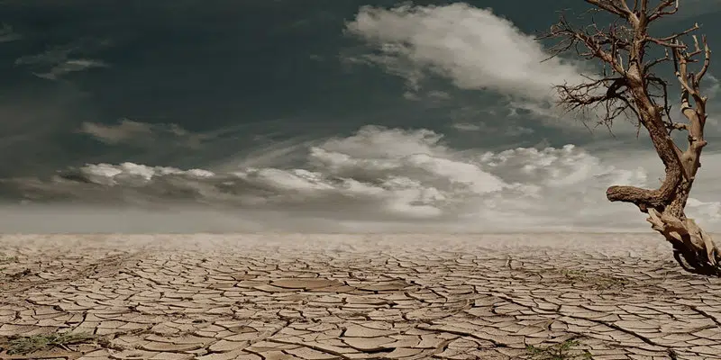 climate change