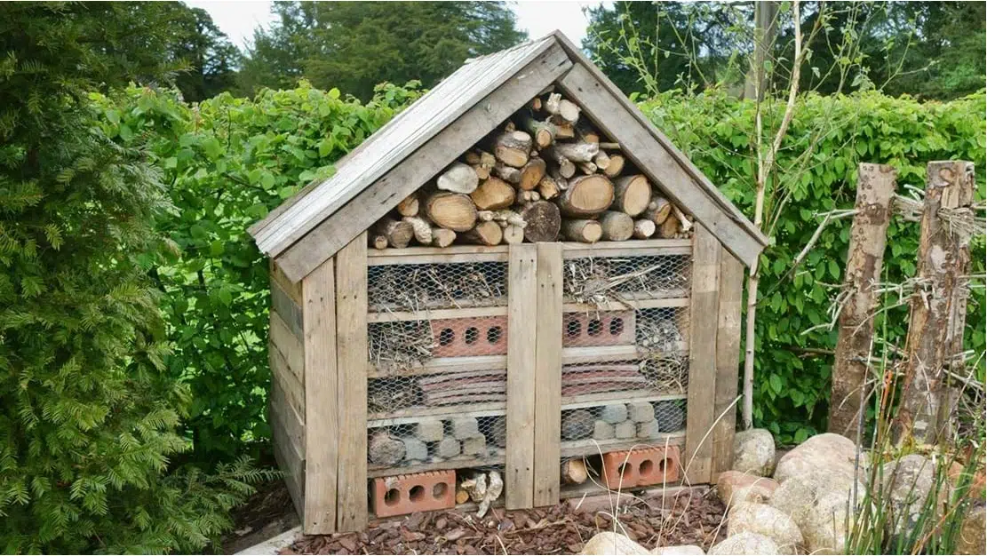 Large bug hotel