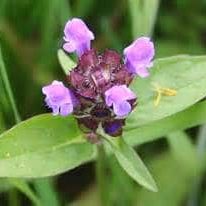 Self heal