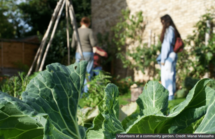 Community food growing