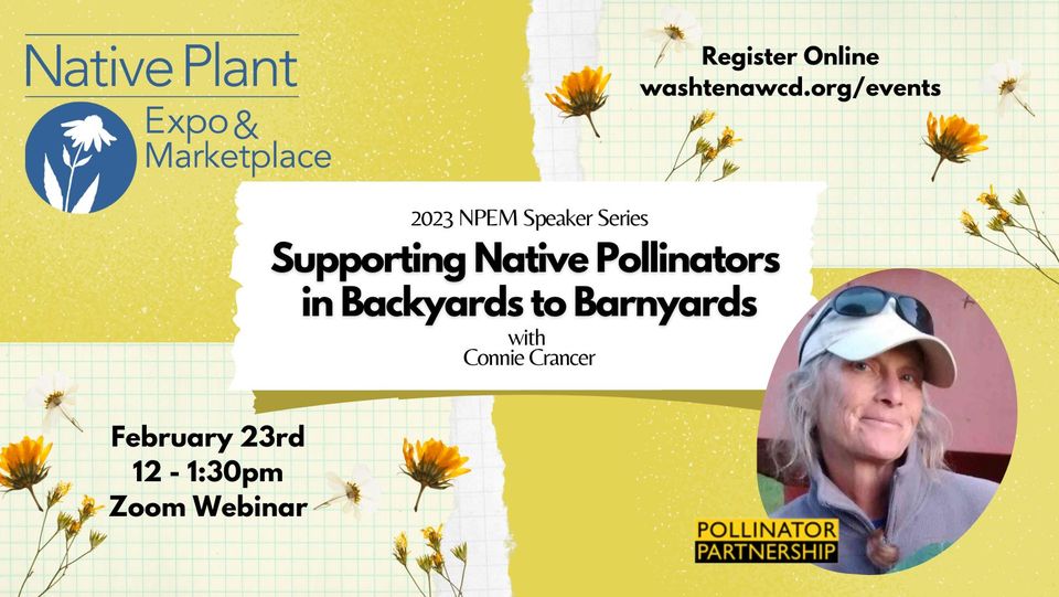 Supporting pollinators