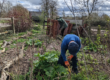 Getting a march on the garden