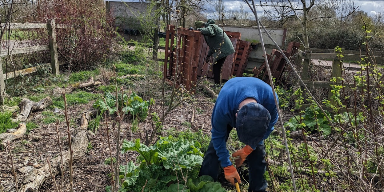 Getting a march on the garden Getting a march on the garden