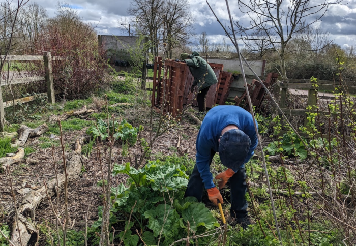 Getting a march on the garden Getting a march on the garden
