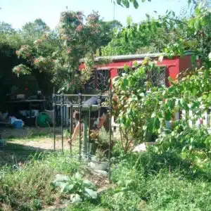 Wolverton Community Orchard