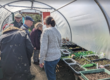 Impressed by the polytunnel