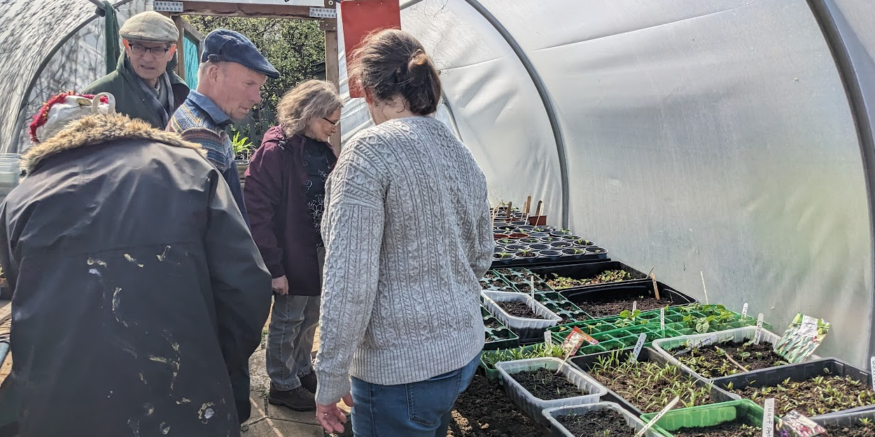 Impressed by the polytunnel Impressed by the polytunnel