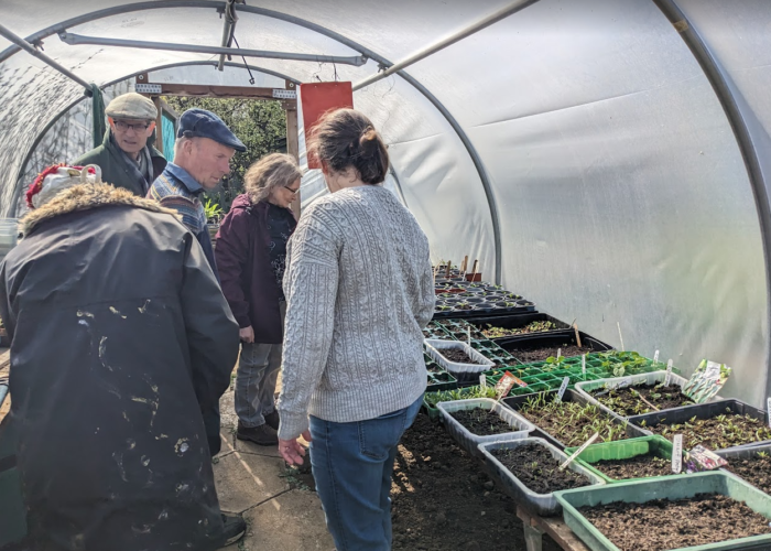 Impressed by the polytunnel