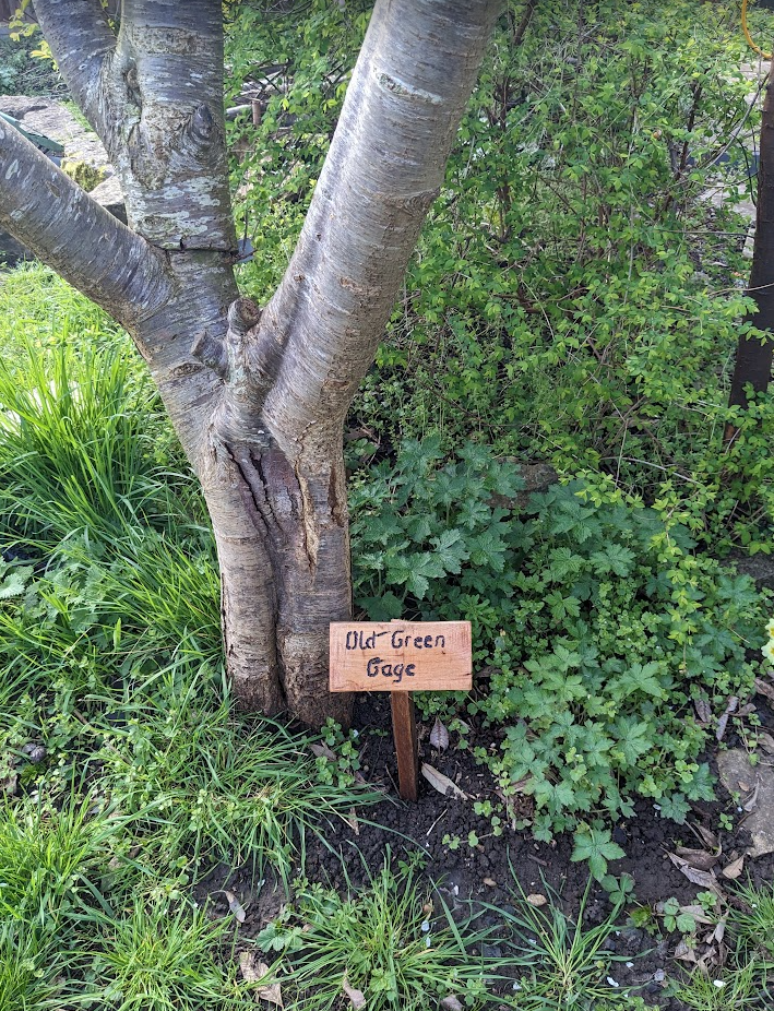 Inspiring DIY plant signs