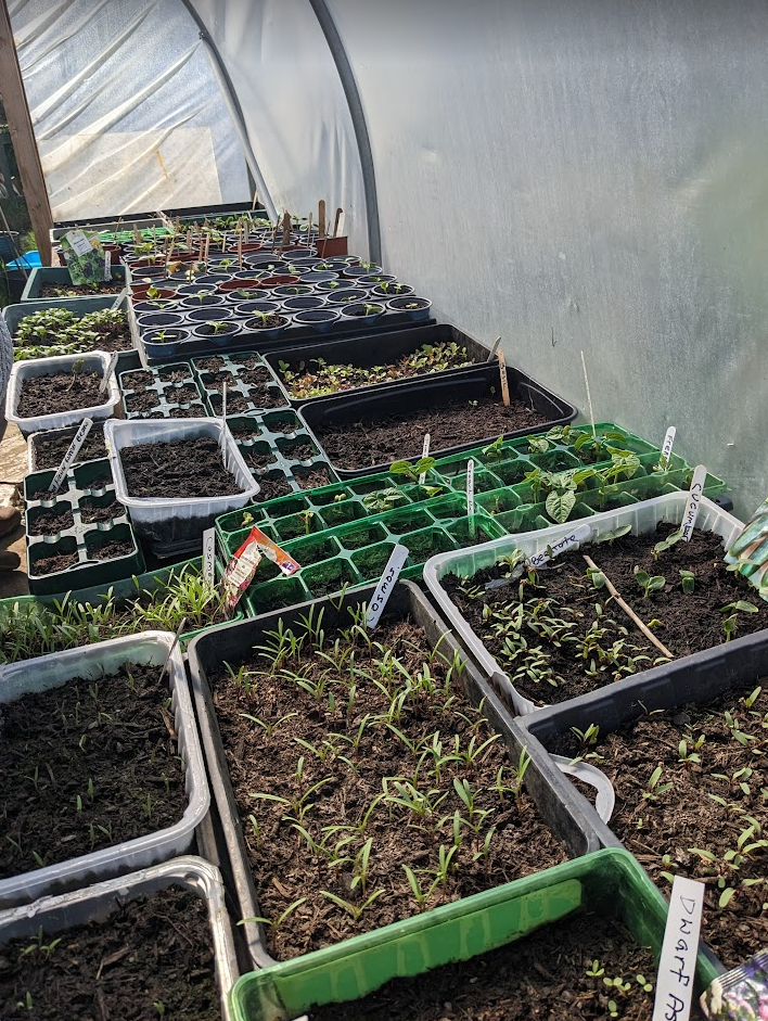 So much growing already!