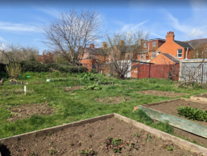 The community allotment area of the site