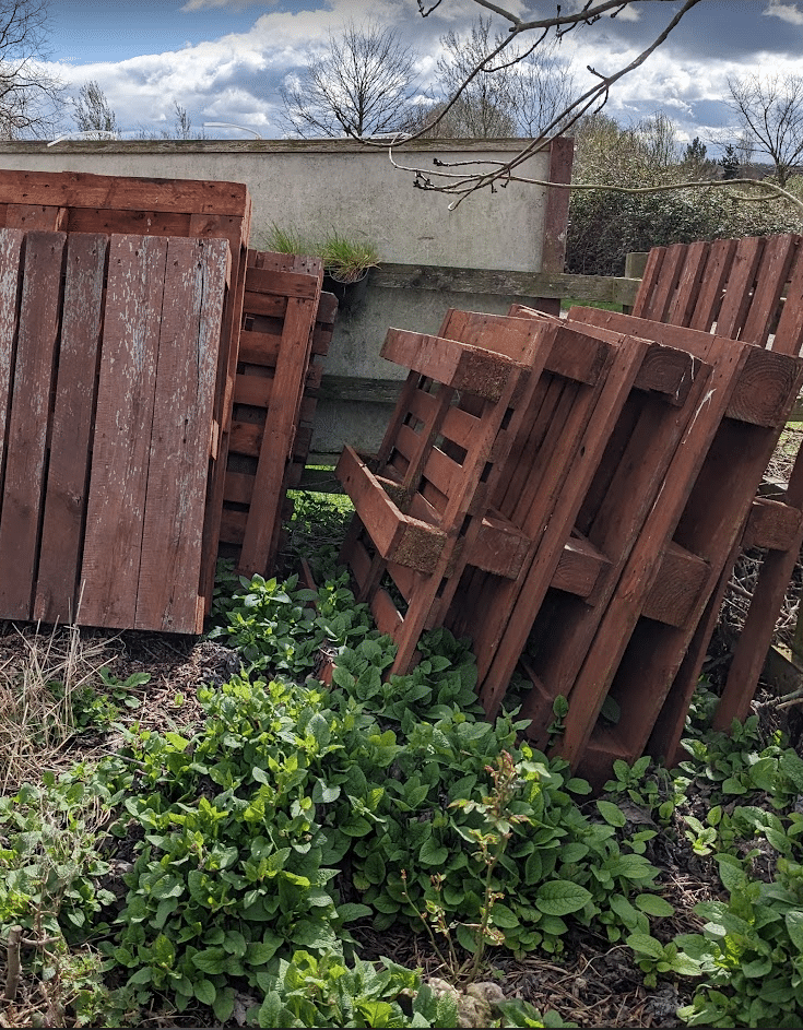 Pallets to use in the garden