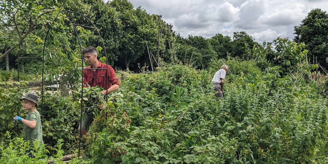 Path clearing Path clearing