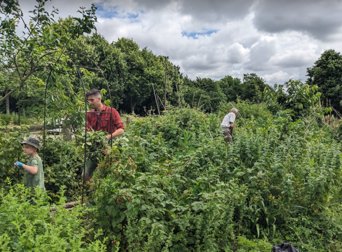Path clearing Path clearing