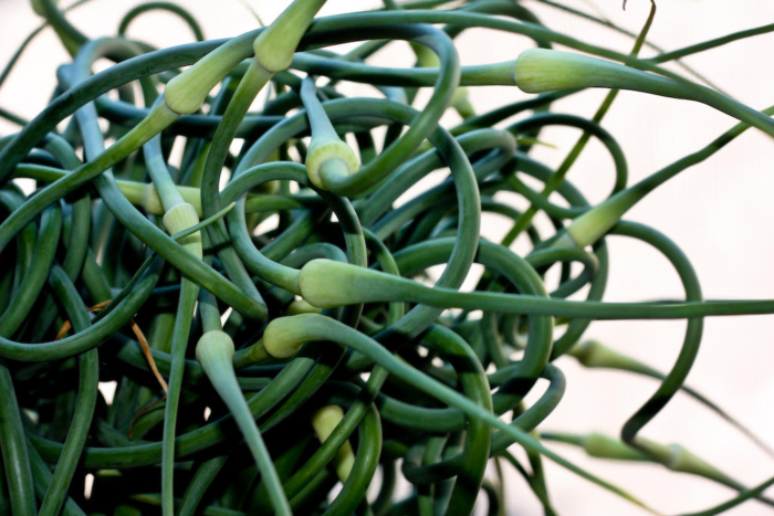 Scapes Scapes