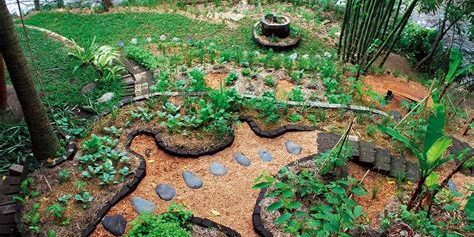 permaculture garden