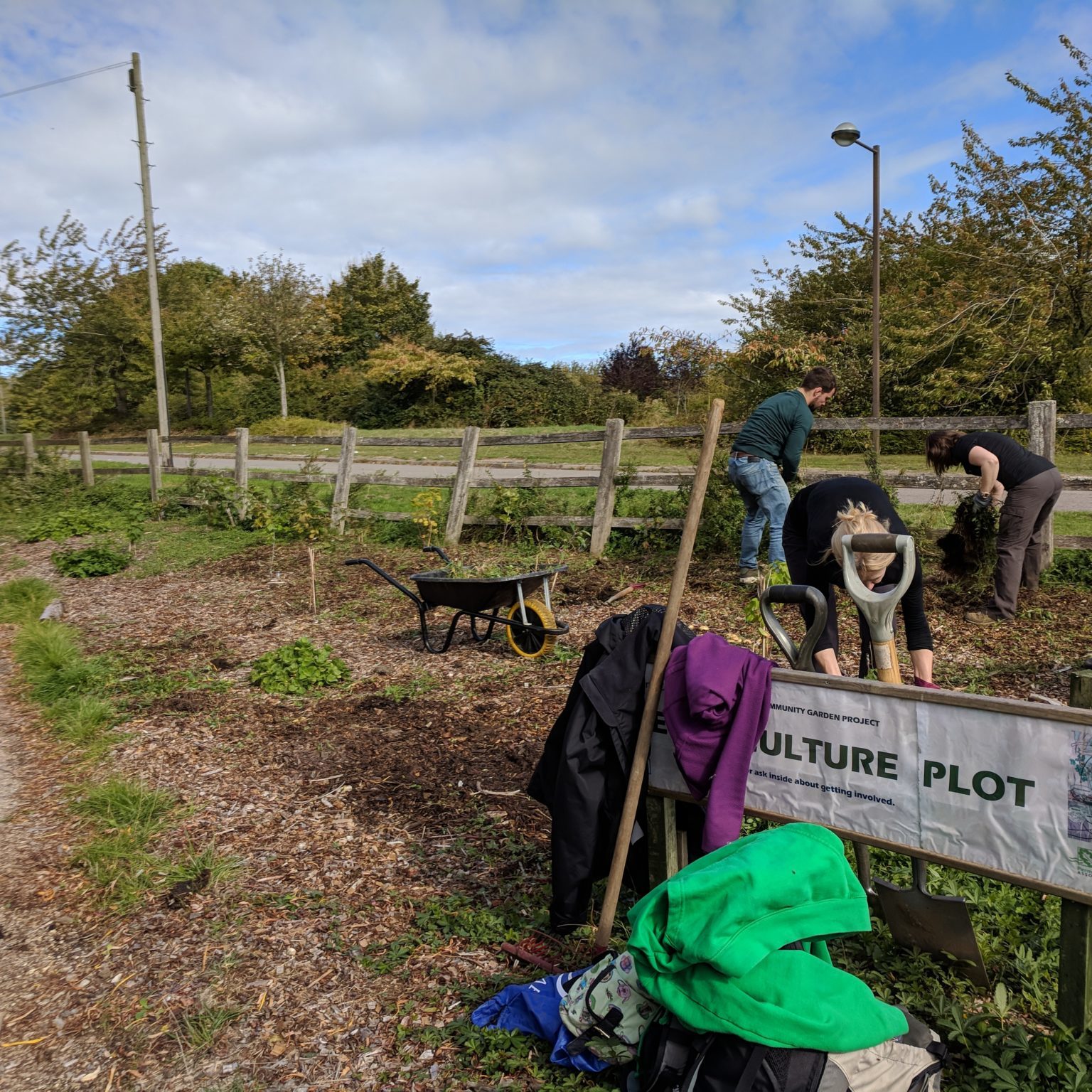Early days plot management