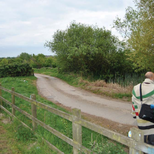 Design planning after cutting back, 2017