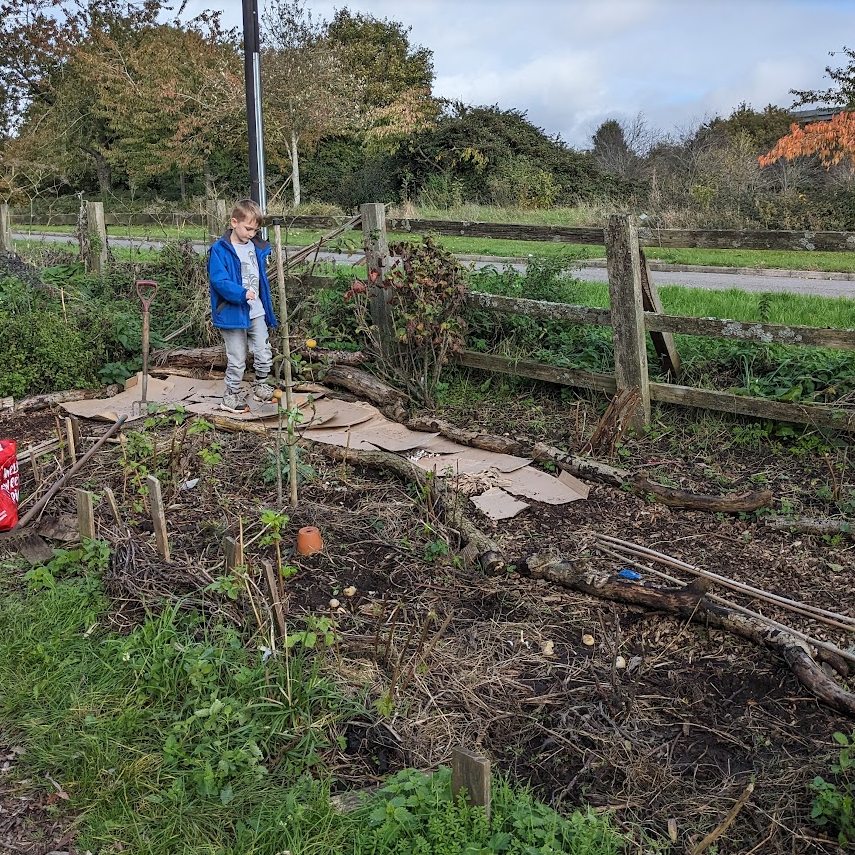 Cardboard on the path