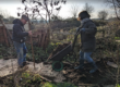 Dropping woodchip on the path