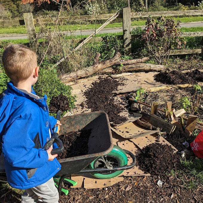 Everyone in on the action