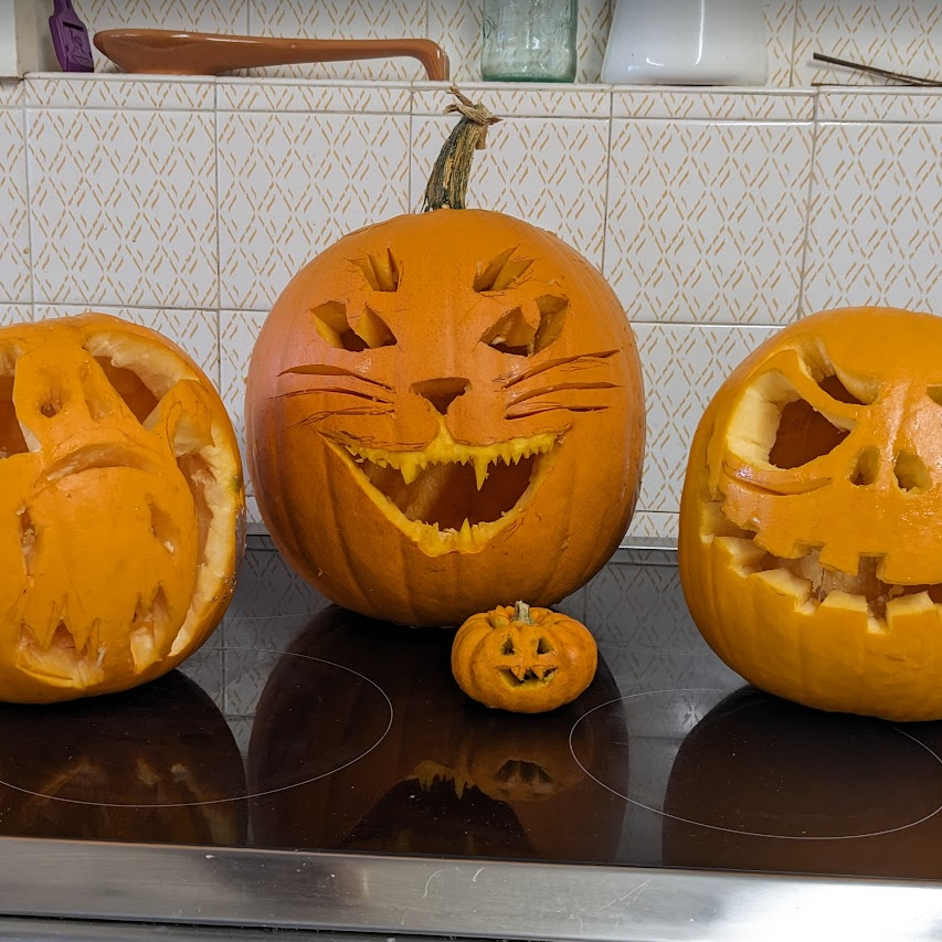 Finished carved pumpkins