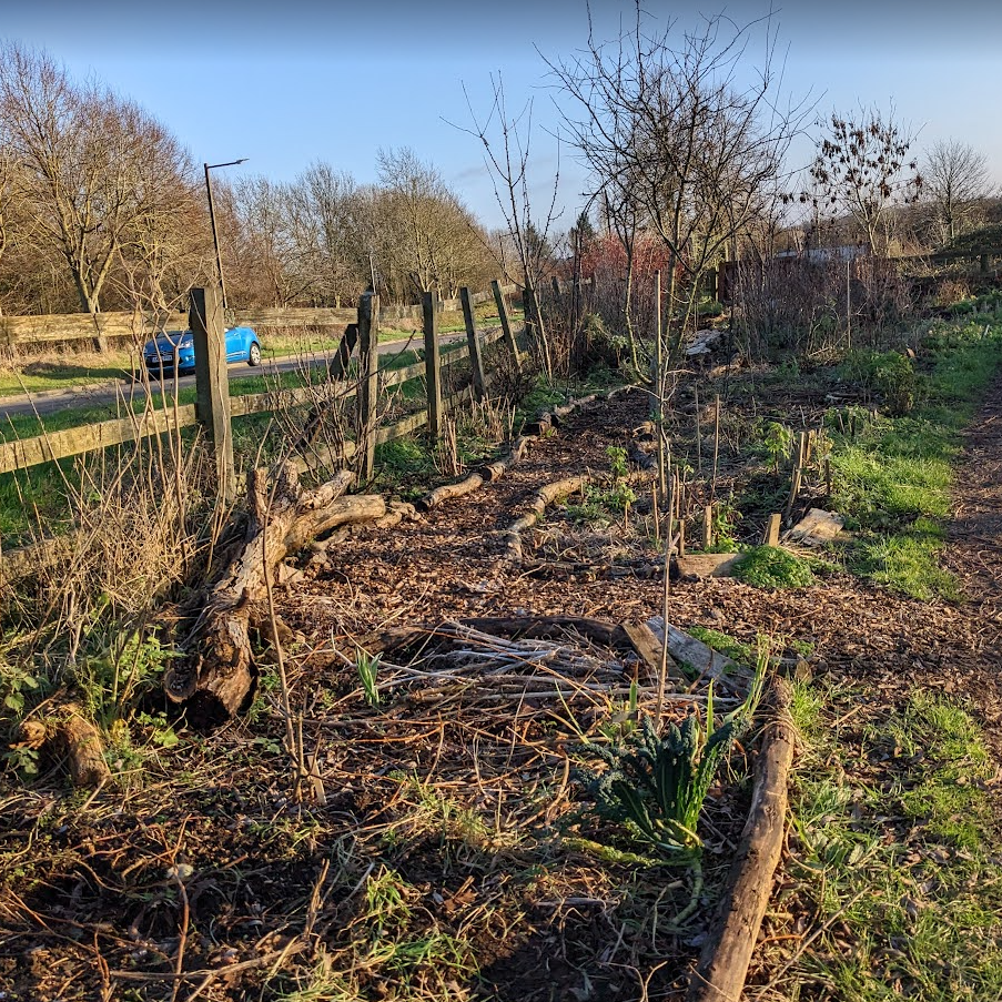 Finished section of the path