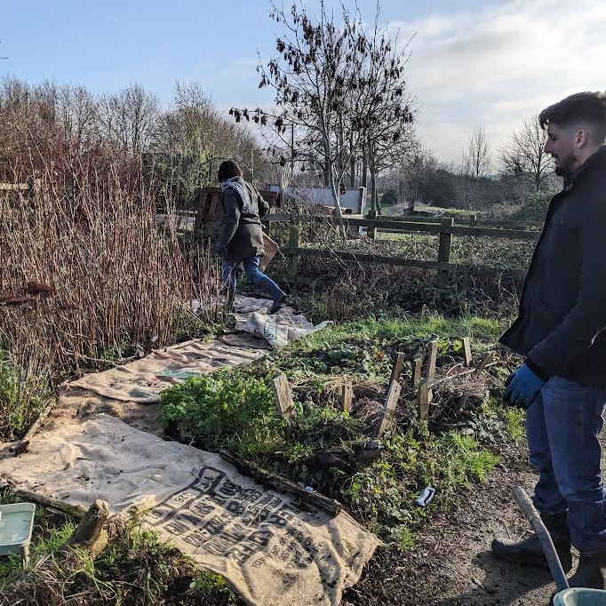Hessian sacks lining our garden path