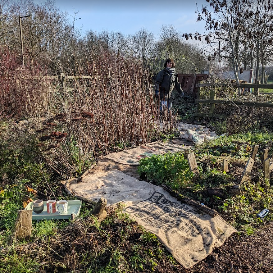 Hessian sacks lining our garden path