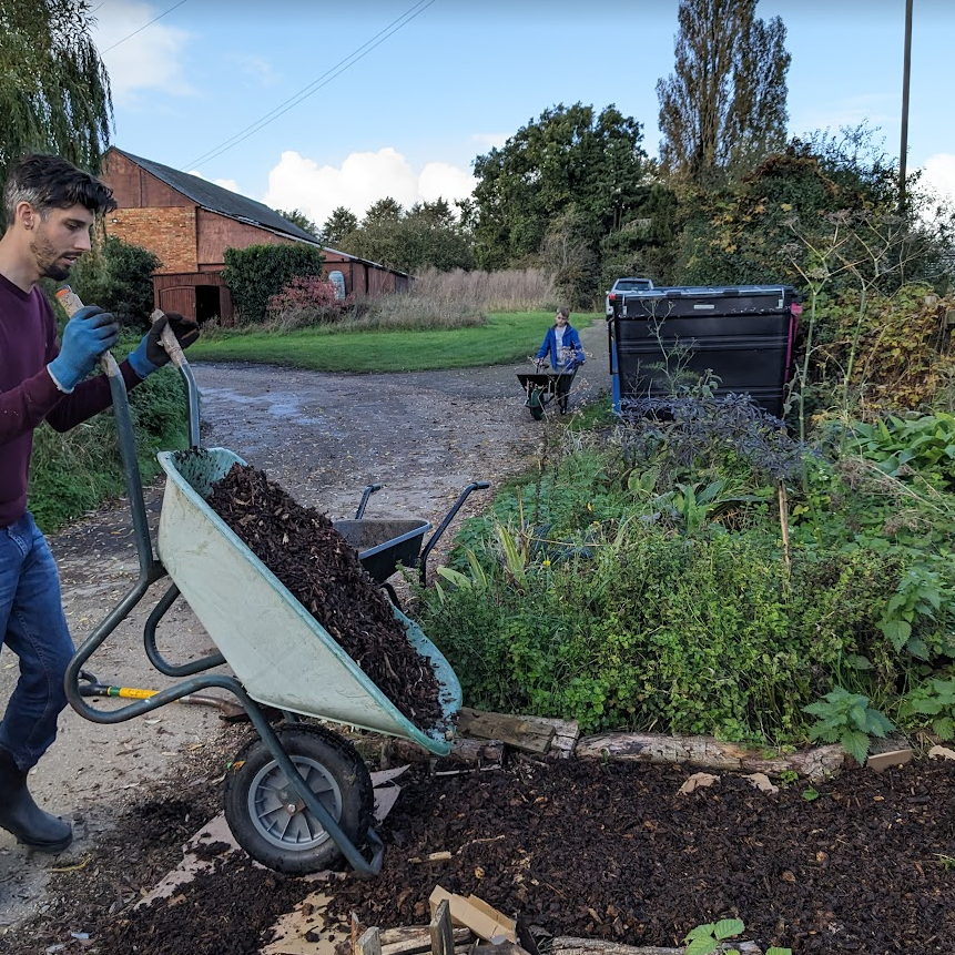 Woodchip spread on the garden path
