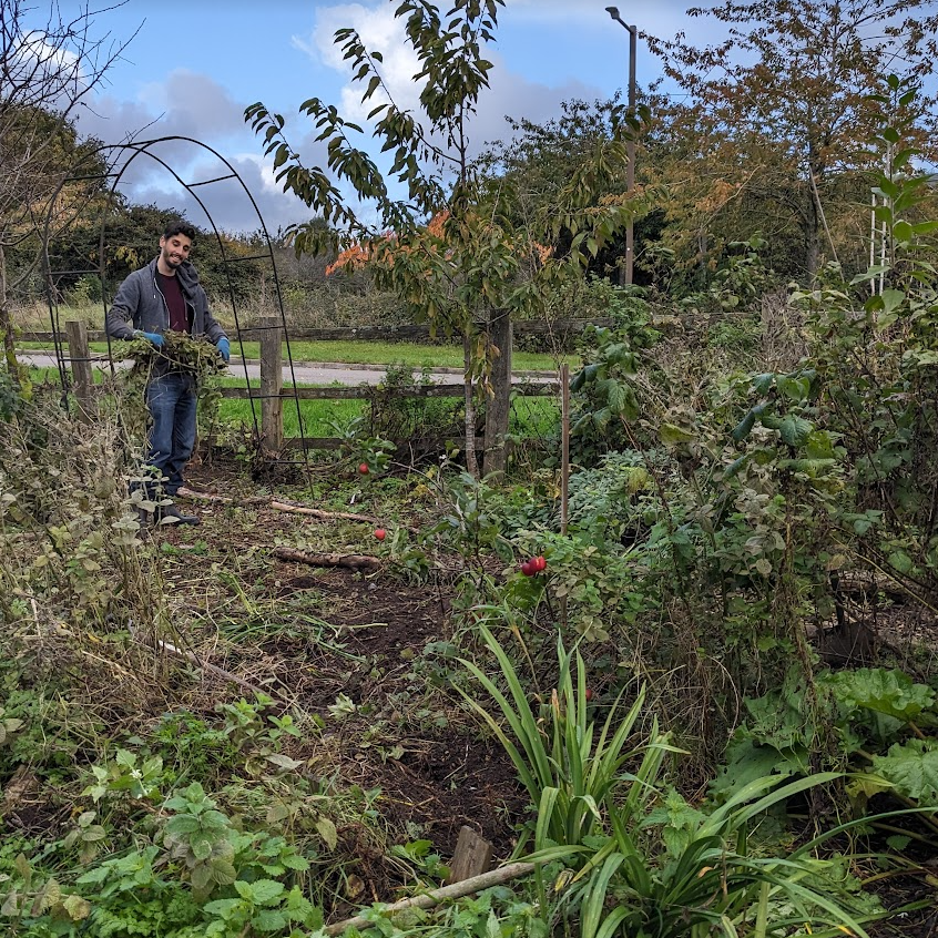 Mulching our green weeds
