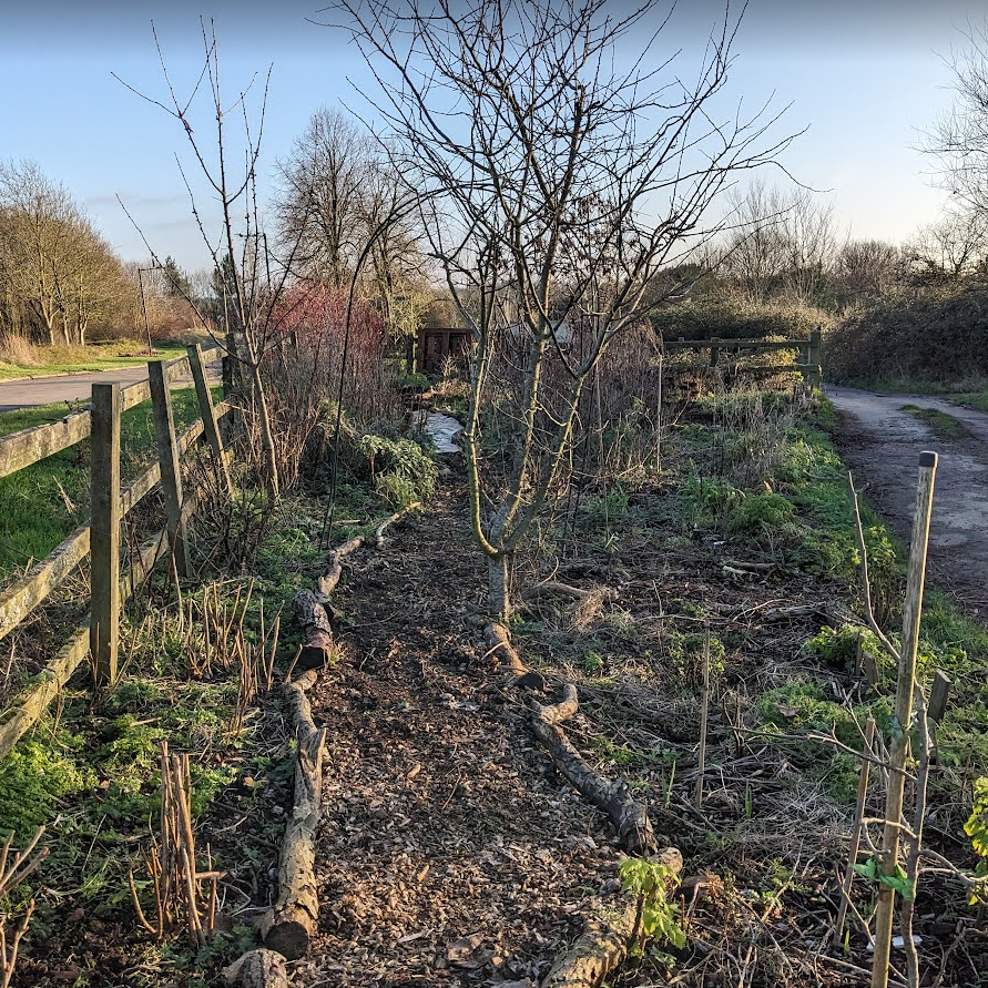 The section we focused on