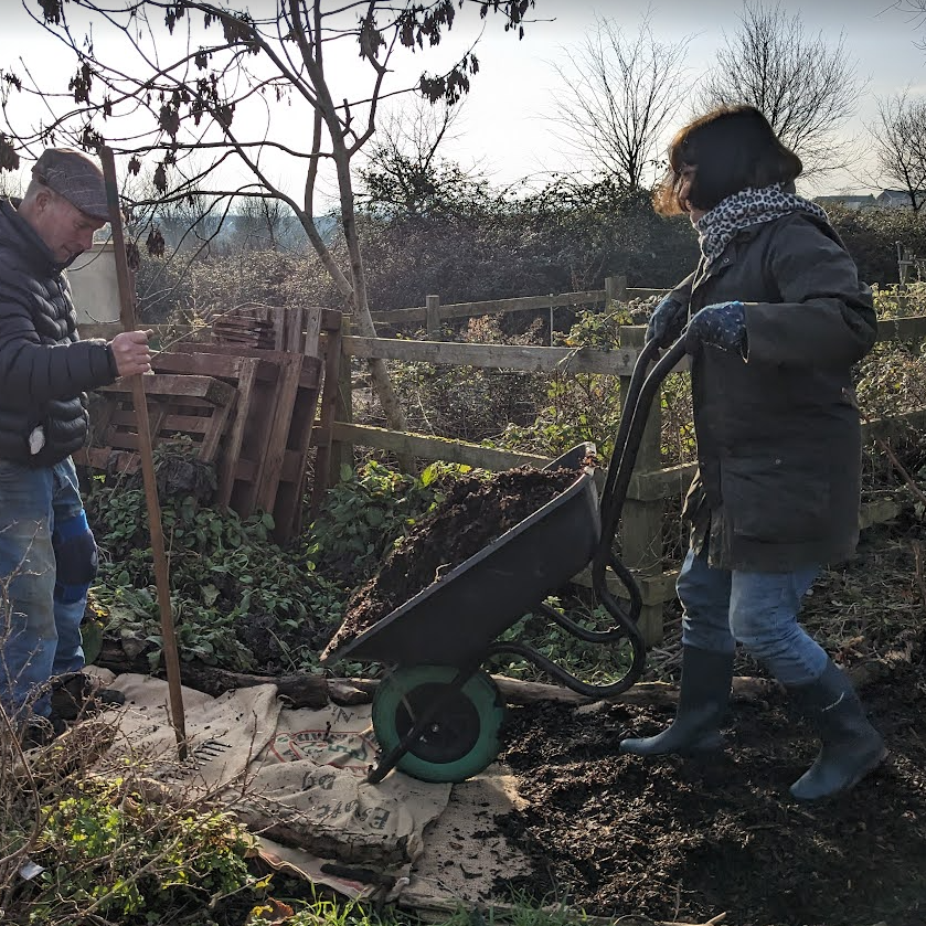 Woodchip wheelbarrowed to the path