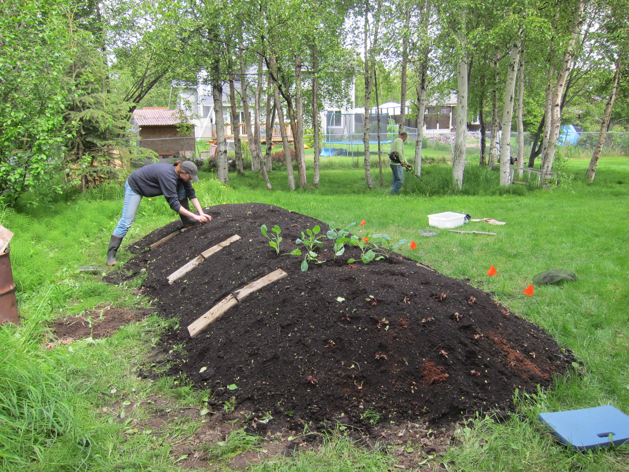 An example of a Hugelkultur being planted. Source: The Alaska Urban Hippie