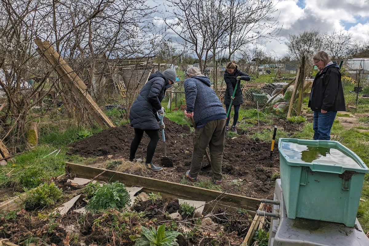 Hugelkultur creation