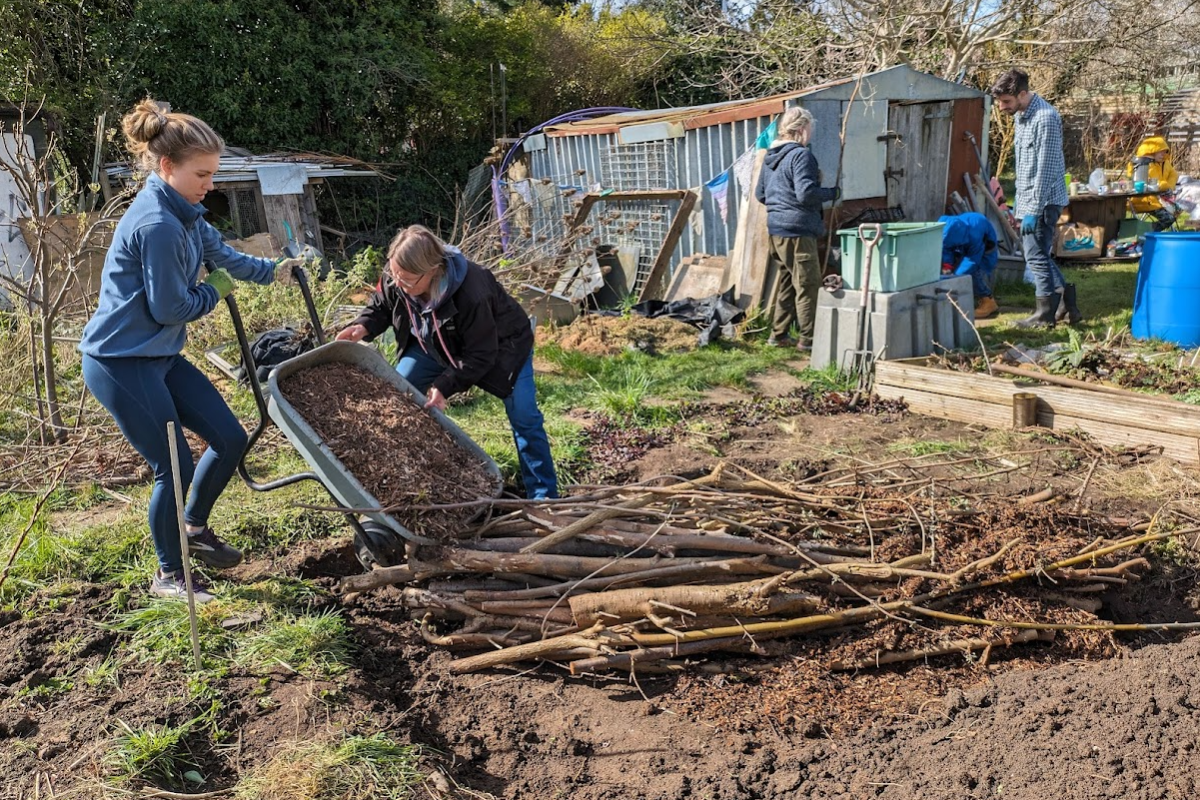 Hugelkultur creation