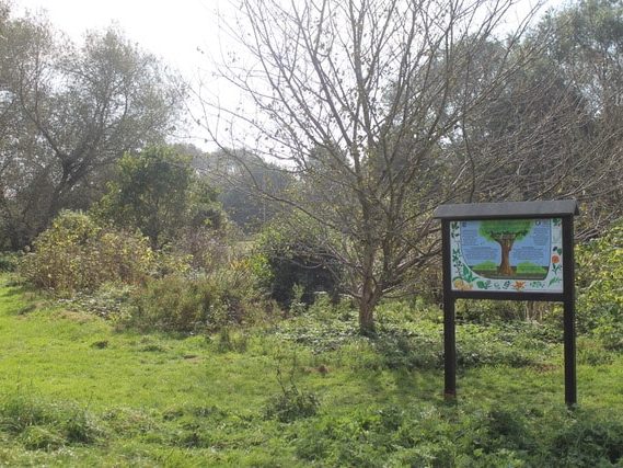 Buckingham Edible Woodland's sign made by Millery.