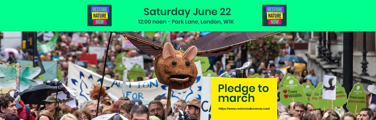 March on 22 June 2024 to demand that we Restore Nature Now