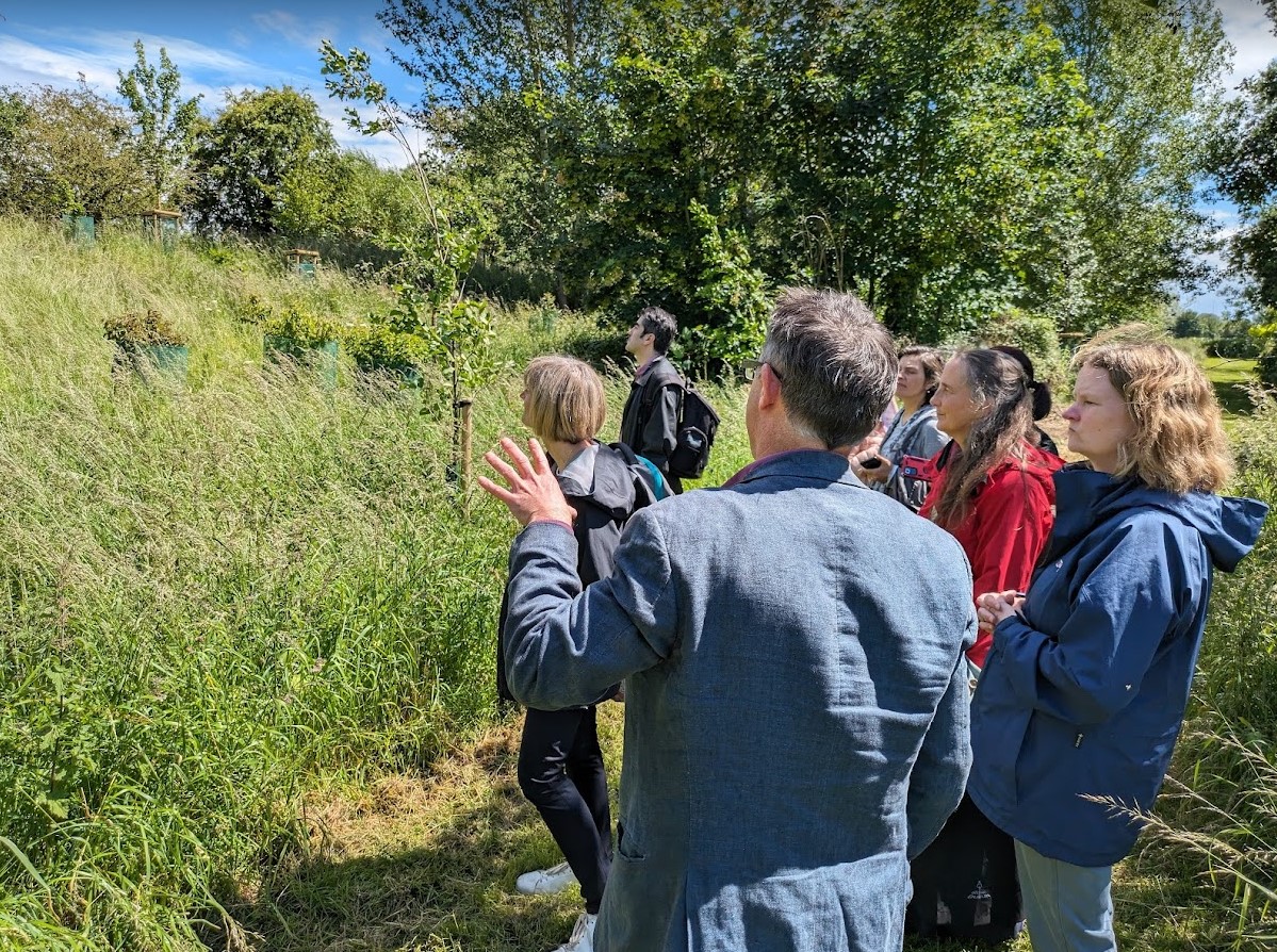 WOLL riparian woodland regeneration