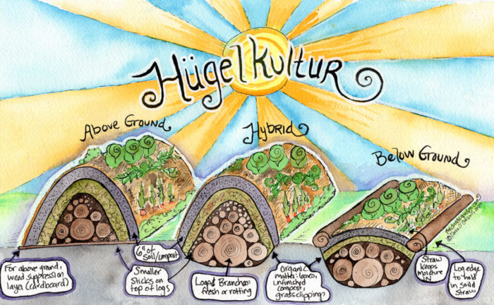 Ultimate Guide to Hugelkultur Garden Beds - Source: https://thedruidsgarden.com/2022/06/26/ultimate-guide-to-hugelkultur-garden-beds-creating-maintaining-and-benefits/